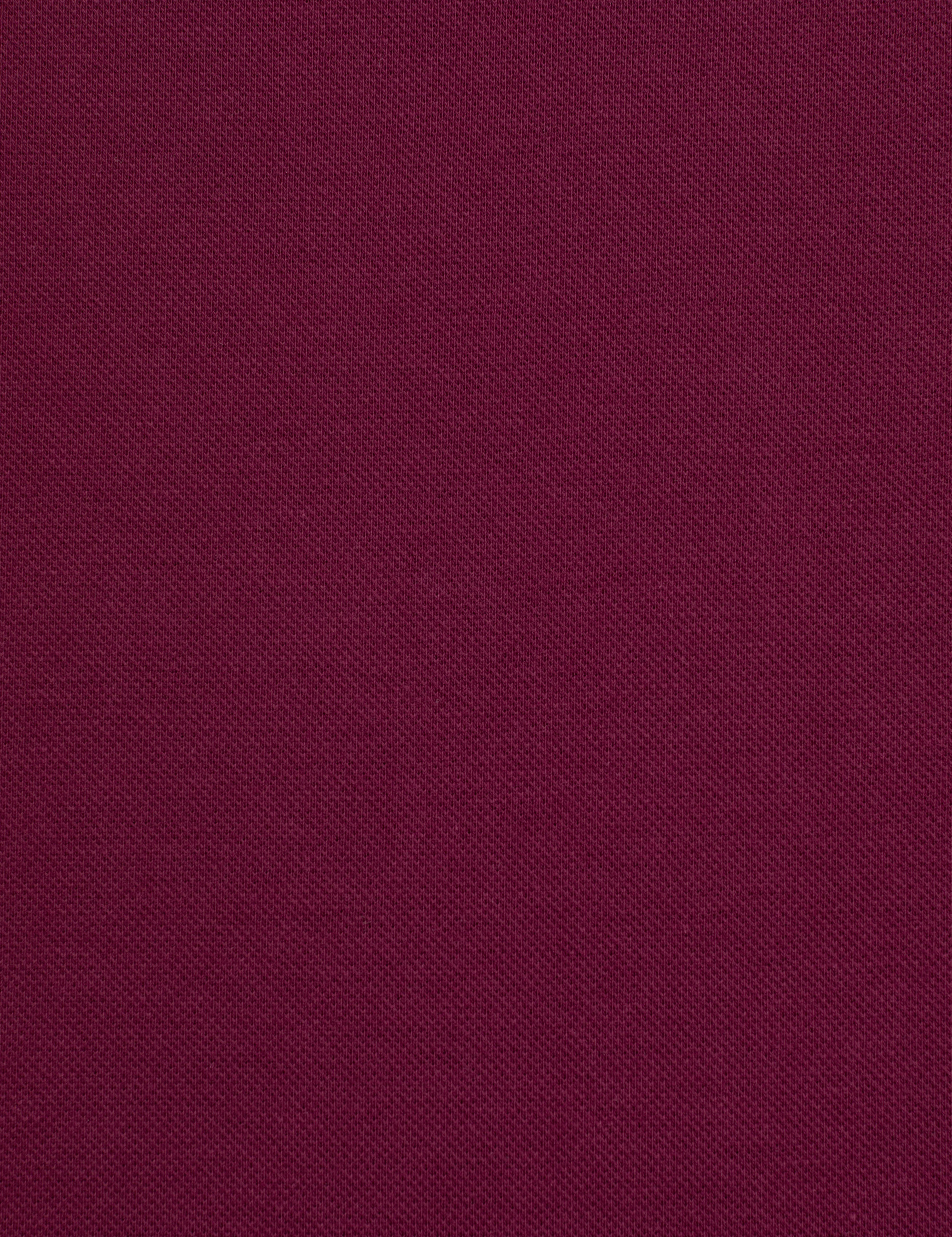 Bordo Slim Fit %100 Pamuk Düğmeli Polo Yaka Basic Tişört - Image 7