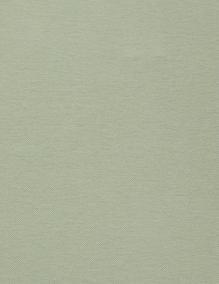 Çağla Regular Fit %100 Pamuk Kıvrılmaz Polo Yaka Basic Tişört - 50325290034