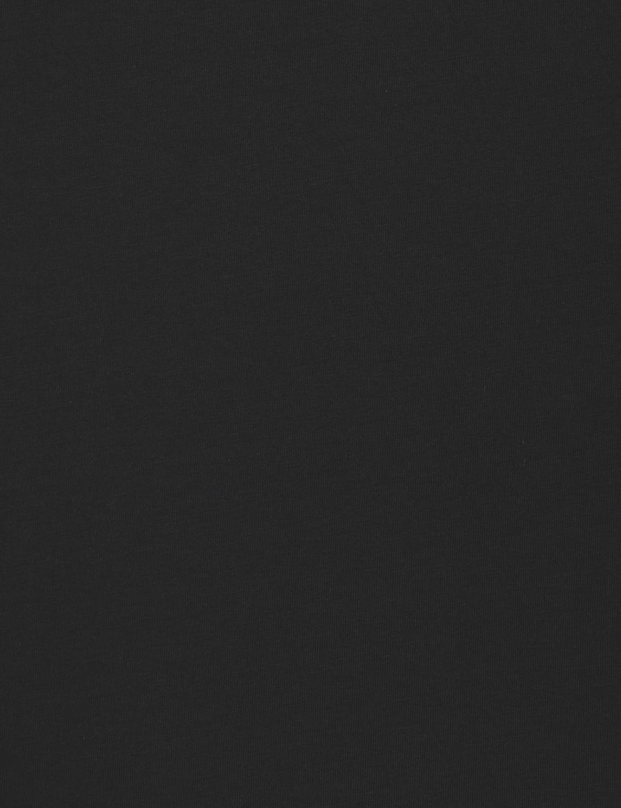 Siyah Regular Fit %100 Pamuk Bisiklet Yaka Basic Tişört