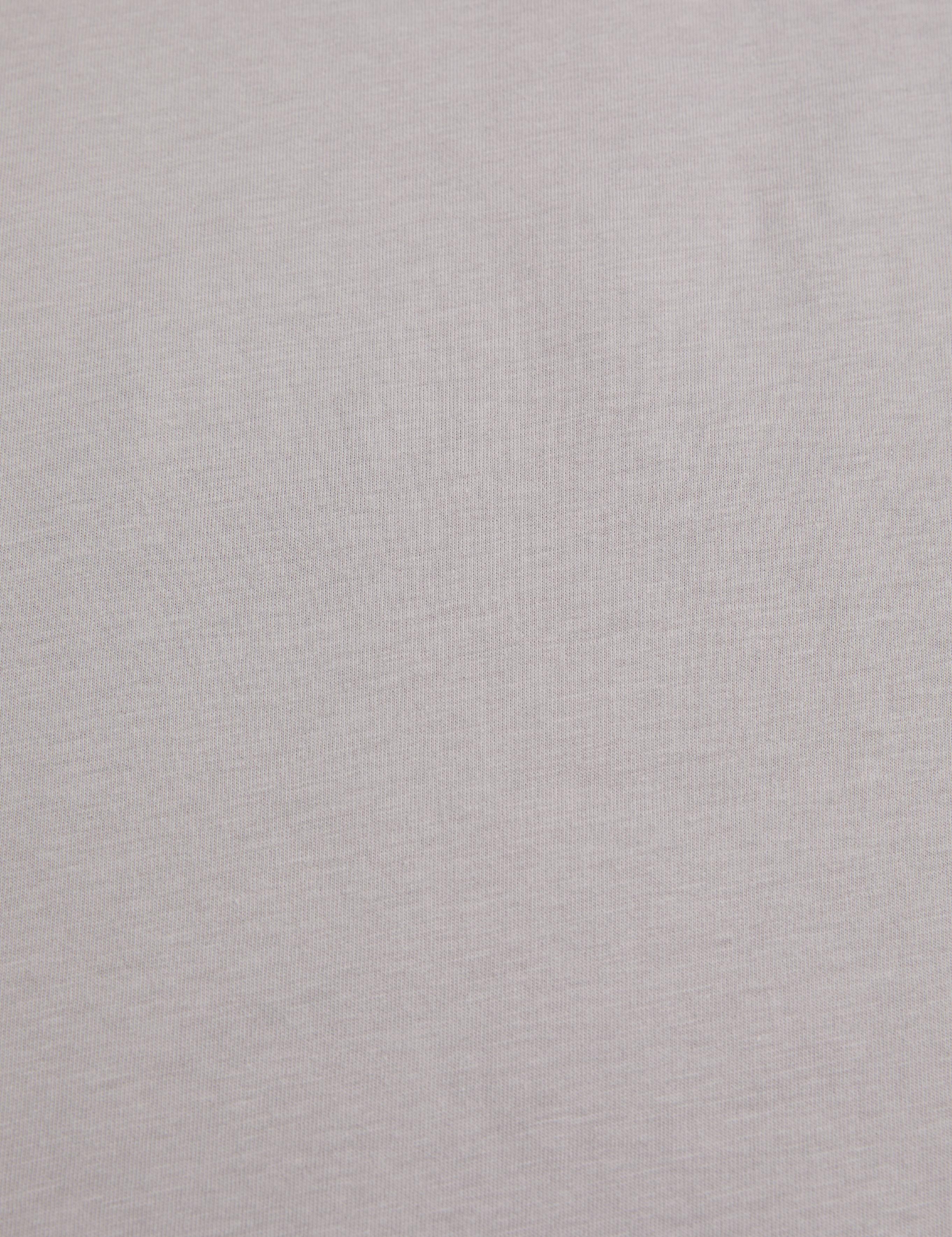 Gri Slim Fit  %100 Pamuk Bisiklet Yaka Basic Tişört