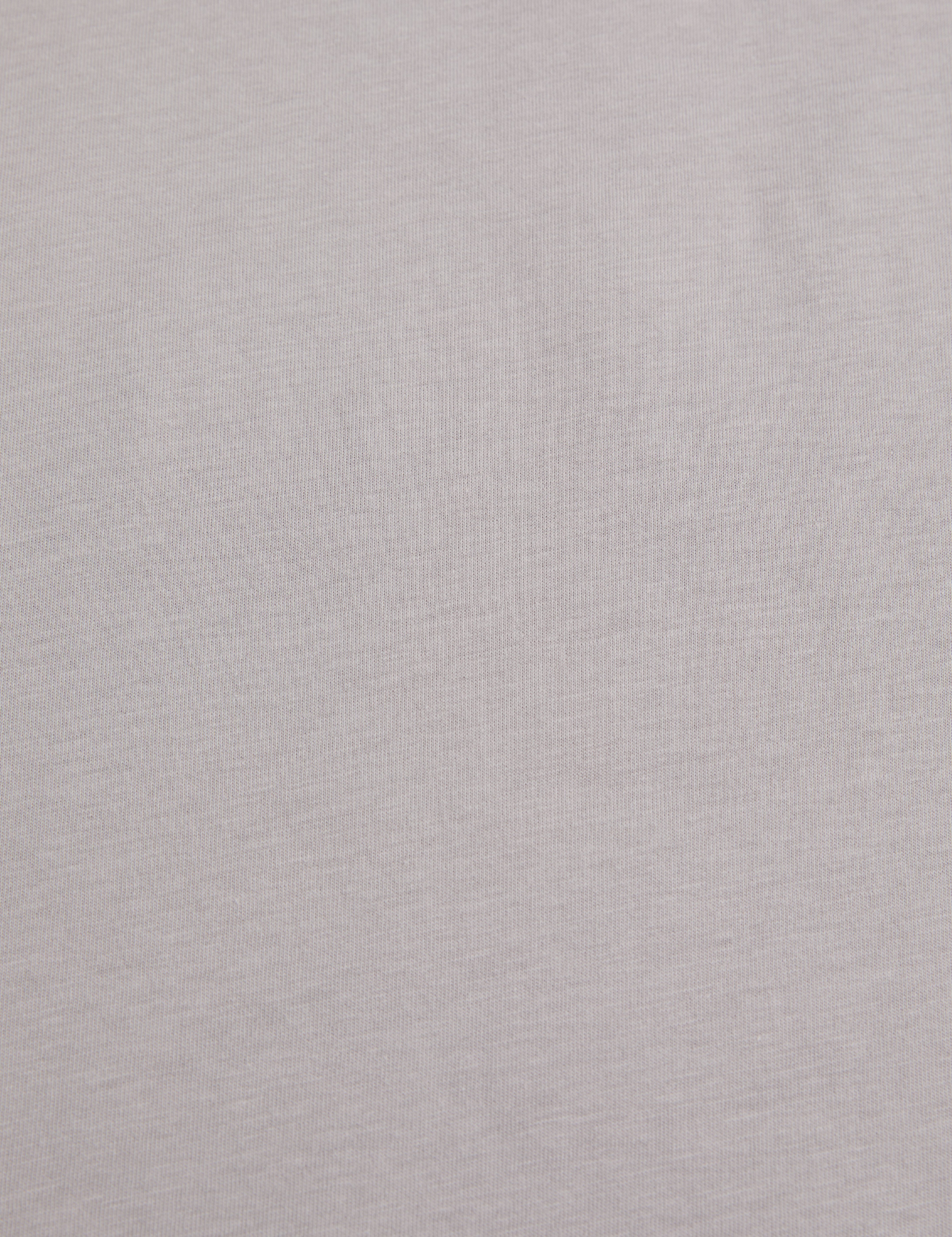 Gri Slim Fit  %100 Pamuk Bisiklet Yaka Basic Tişört
